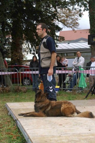 foire-haricots 2011-09-17et18